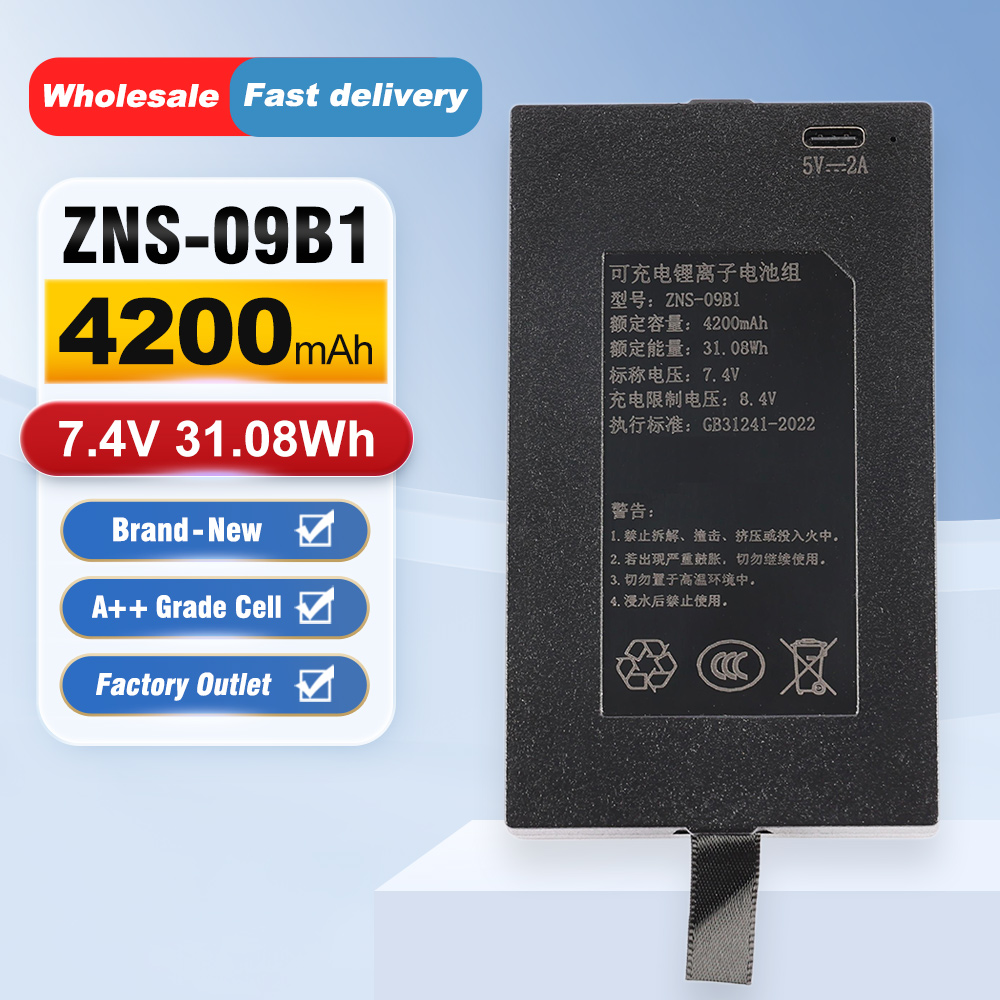 ZNS-09B1 4200mAh C+C- P-P+ Rep - Home Security Battery Replacement recension och pris